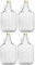 lilawelt24 4 x 5L GLASBALLON Weinballon GÄRBALLON GLASFLASCHE Flasche Gallone Leere Glasflasche zum Befüllen