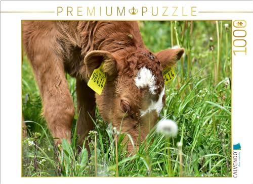 CALVENDO Puzzle Die weiße Blesse auf der Stirn Macht das Kälbchen einmalig. | 1000 Teile Lege-Größe 64 x 48 cm Foto-Puzzle für glückliche Stunden