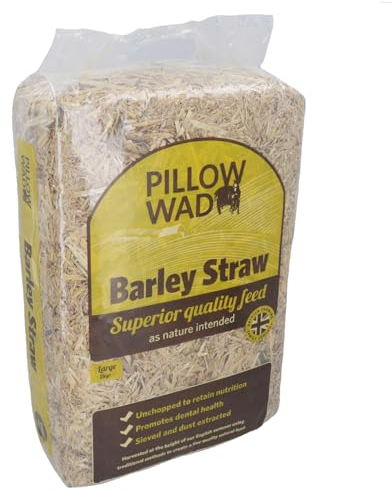AB Tools 1 sac de paille d'orge pour petits animaux 2 kg