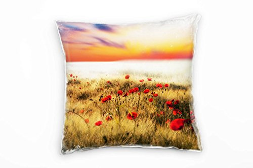 Paul Sinus Art Blumen, braun, rot, blau, Klatschmohn, prächtiger Himmel Deko Kissen 40x40cm für Couch Sofa Lounge Zierkissen - Dekoration zum Wohlfühlen