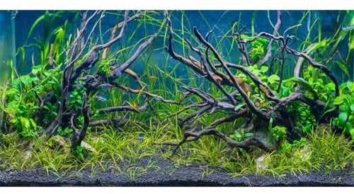 AWERT 72x24 inches Tropical Fish Tank Background River Bed & Lake Aquatic Plant Undersea Tree Branch Aquarium Background Vinyl