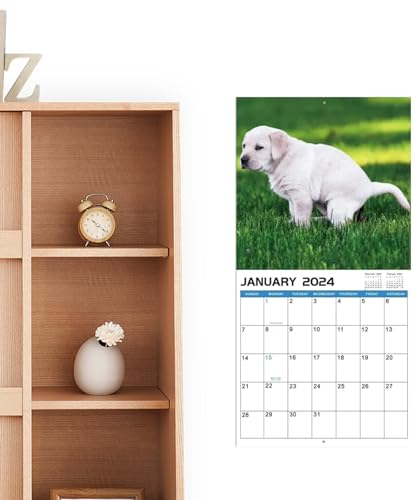 Kackende Hunde-Kalender 2024, Hunde- -Kalender 2024, lustiger Hunde-Kalender, Gag-Geschenke, monatlicher -Hunde-Wandkalender 2024-2025, lustiger Secret Dirty Santa Yankee Swap, kackender Hu