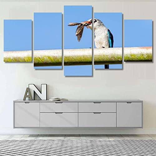 Leinwand Wandkunst Modulare Bilder Wohnkultur 5 Stücke Wald-Eisvogel Gemälde Wohnzimmer Hd Gedruckt Poster Wanddekoration Design Wand Bild 150×100 Cm -3Y5H/X5Q