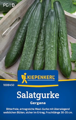 Kiepenkerl Salatgurkensamen Gergana 1008450 - Bitterfrei - Ertragreich - Fruchtlänge 30-35 cm - Inhalt für 35 Pflanzen - Gemüsesamen, Samen Gemüse, Saatgut