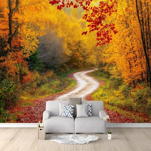 Papier Peint Mural Chambre Paysage De Chemin Forestier D'Automne 300x210 cm Poster Mural 3D Tableaux Muraux Tapisserie Photo, Salon Chambre d'enfants Mur de Fond Papier Peint Panoramique