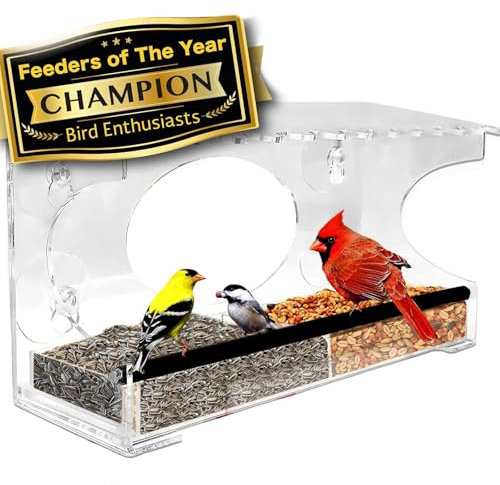Large Clear Window Bird Feeder - Extended House with Strong Suction Cups - Steel Perch Sliding Feed Seed Tray - See Through Transparent Big Birdhouse - Wild Finch, Cardinal, Blue Jay - Cool Cat Gift