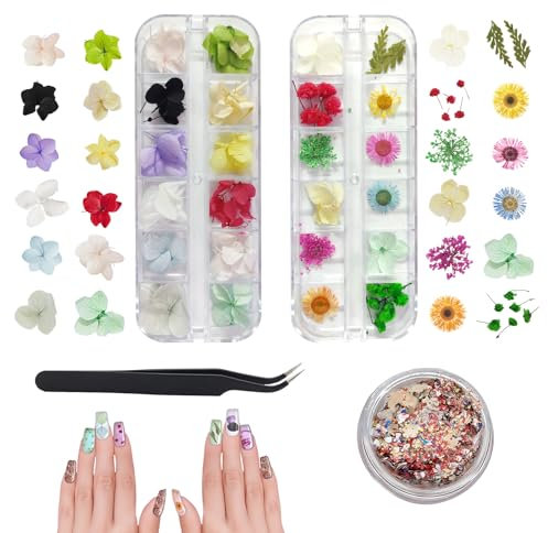 CCUCKY Natürliche Getrocknete Blumen, 2 Schachteln 3D-Nagel DIY Blumen Dekoration mit 1 Schachtel Folie Nail Art Chip und schwarzer Pinzette
