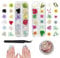 CCUCKY Natürliche Getrocknete Blumen, 2 Schachteln 3D-Nagel DIY Blumen Dekoration mit 1 Schachtel Folie Nail Art Chip und schwarzer Pinzette