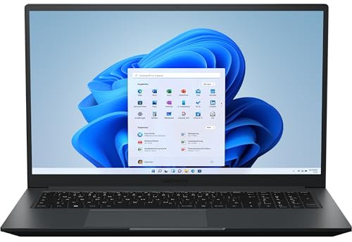 MEDION P17615 43,9 cm (17,3 Zoll 100% sRGB) Full HD Laptop (Intel Core i5-12500H, 512GB SSD, 8GB DDR4 RAM, GeForce MX550, Webcam, Win 11 Home)