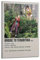 greb Filmposter Bridge to Terabithia auf Leinwand, Raumdekoration, ästhetisches Poster, künstlerisches Poster für Schlafzimmer, Wohnzimmer, Wände, 40 x 60 cm, Rahmen-Bridge to Terabithia