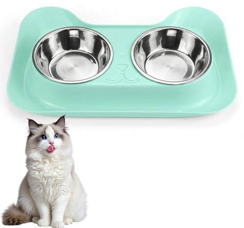 Cat Bowls, Design for Non-spill & Ant-proof, Stainless Steel Cat Feeding Bowls for Wet & Dry, Cat Food Bowl for Cat and Small Dogs