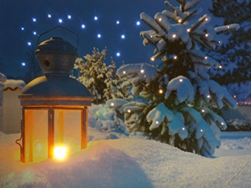 CBK-MS LED Leucht Bild Laterne im Schnee Wandbild Winterlandschaft 30x40cm