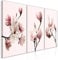 murando - Tableau triptyque mural ensemble de 3 pièces 120x60 cm – Impression sur toile avec cadre pour salon et chambre - Fleurs magnolias nature plantes rose b-C-0354-b-e