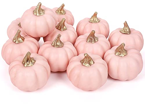 Whaline Künstliche Kürbisse Bulk Vintage Rosa Kürbis Ernte Lebensechter Kürbis Fake Schaumstoff Kürbis für Herbst Halloween Zuhause Party Zuhause Erntedankfest Party Haus Küche Hochzeit Dekor (12