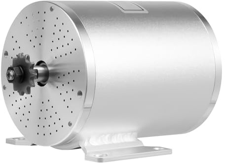 Elektrischer Bürstenloser Gleichstrommotor-Bausatz, 3KW BLDC Motor Kit, 48V-72V Brushless High-Speed Motor mit Gasgriff und Kette, Ideal für E-Motorrad, Go-Kart, Beachbuggy DIY