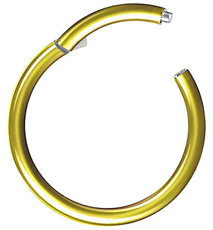 Piercing Ring Segmentring Clicker Scharnier Septum Tragus Helix Ohr Nase Lippe Nasenring Nasenpiercing Lippenpiercing Dünn Gold 1,6mm x 8mm