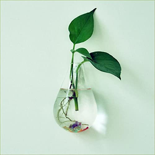 Creative Transparent Waterdrop Shaped Wall Hanging Glass Vase, Stylish Home Decor (UK Site)