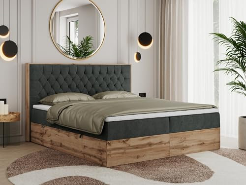 MKS MEBLE Boxspringbett 160x200 mit Bettkasten Eiche, Polsterbett 160x200 mit Matratze H3, Bett 160x200 mit Kopfteil, Bett mit Holzrahmen in Wotan Eiche - Dunkelgrau Struktur - Amore
