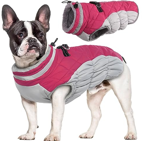 Hjumarayan Hundemantel für Kleine Mittelgroße Grosse Hunde, Hundemantel Winter Warme Hundejacke Wintermantel Hund Wasserdicht Hunde Mantel Gefüttert, Chihuahua Kleidung Winter (Rose XS)