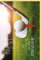 Skorpion Geburtstagskarte Golf Golfspieler Motiv Golfschläger und Golfball - mit Umschlag