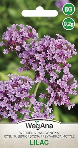 WegAna Verveine de Patagonie Lilas 0,2g, Fleurs d'été, Plantes de jardin Plantes de balcon, Fleurs semences, Graines de fleurs, Aimant à papillons