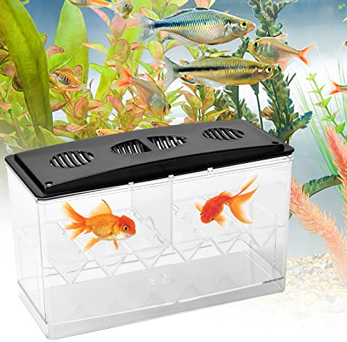 Fischzuchtkasten,Multifunktionale Zuchttanks Brutkasten Inkubator Box,Fisch Ablaichstation Aufzuchtbehälter Aquarium,für Babyfische, Garnelen, Clownfische und Guppys Kleine Größe