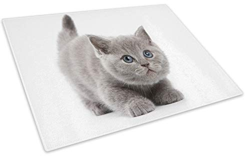 Grey Kitten Cat Blue Eyes Glass Chopping Board Kitchen Worktop Saver Protector