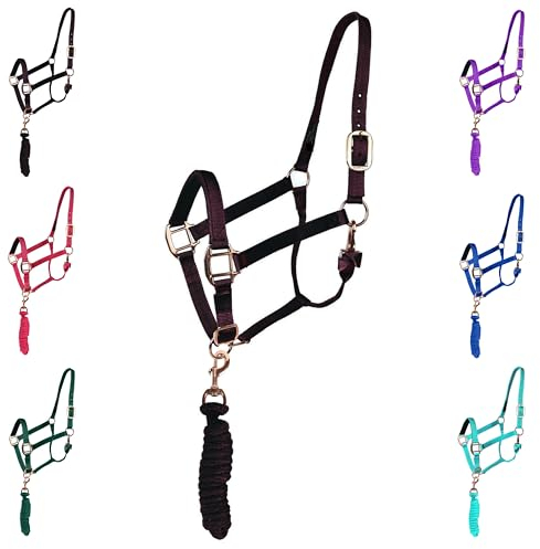 Majestic Ally Halfter mit passendem Führstrick für Pferde - Verstellbares Kinn und Krone - Gerollter Halsriegel mit auswechselbarem Druckknopf - Gepolstertes Nasenband -Full (Schwarz, Full)