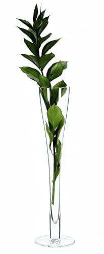 SOLAVIA Clear Tall Glass Champagne Flute Handmade Flower Vase Centrepiece H44cm Collection 1.5 L, Housewarming Gift Mother's Day