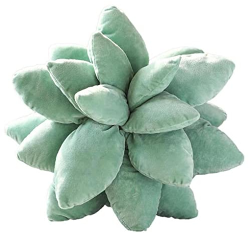 Haowul Sukkulente Kissen 3D Sukkulente Plüschkissen Dekorative Wurfkissen Pflanze Wurfkissen Für Heimzimmerdekoration