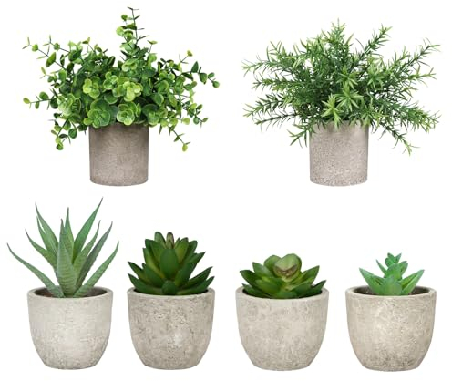 CHEVVY Succulentes Plantes Artificielles, 6 Pièces Plantes Succulentes Artificielles en Pot Mini Plante Artificielle Mini Plantes Grasses Artificielles en Pot pour Table Maison Balcon Bureau