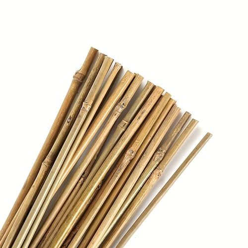 Control Garden Pack 30 Unità Tutor in Bambù Ecologico 90 cm | Palo Naturale Canna Fissare Piante ø 6-8 | Aste Alberi, Verdure, Rampicanti e Colture