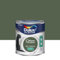 Peinture Crème De Couleur Vert Tropical