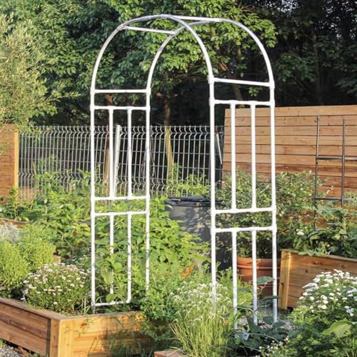GQJNHUI Metall Rosenbogen Gartenbogen, Hochzeit Bogen, Dekoration Pergola Laube, Rankhilfe Für Verschiedene Kletterpflanzen Rosen Reben Partei, Schwarz, Weiß (Color : White, Size : 240x210x40cm)