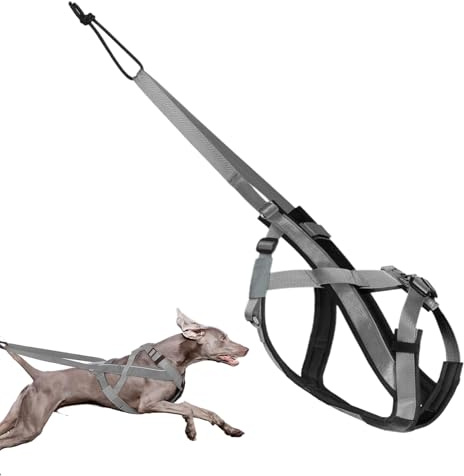 ETUCYNG Hundegeschirr zum Ziehen, reflektierendes Laufgeschirr für Hunde, bequemes, verstellbares Zugseil für Sporttraining, Spazierengehen, Schlitten, Ziehen