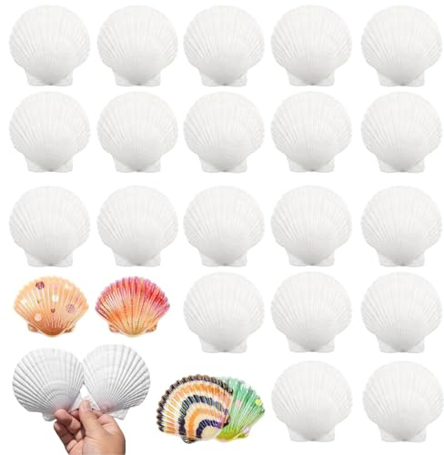 YRUHAN Coquilles Saint Jacques, Coquille Saint Jacques, Coquillages Blancs, Fait à la Main Créatif, Matériau Naturel, Peinture DIY, Convient pour L'artisanat, la Décoration de Mariage (6-8CM)