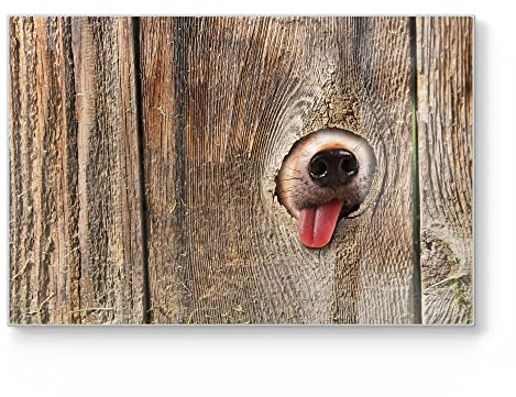 DEQORI Planche à découper en verre | Grande taille 30 x 20 cm | Motif « Noix de chien curieux » | Planche à découper design pour la cuisine | Planche à petit-déjeuner antibactérienne & antidérapante |