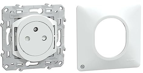 Schneider Electric - Ovalis - prise de courant 2P+T 16A affleurante - bornes automatiques - Blanc - S320052 & Ovalis - Plaque de finition - 1 poste Antibactérien - S300702