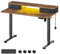 VASAGLE Electric Standing Desk with Built-In Power Strip, 60 x 120 x (72-120) cm, Adjustable Height, Monitor Stand, 2 Hooks and Drawers, Memory Function, Rustic Brown LSD182X11