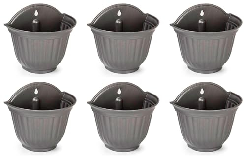 AC - Pack de 6 macetas de plástico para Pared, macetero, Tiesto Colgar, Recipiente para Plantas, Flores, balcón, Porche, hogar, Fabricada en España (Antracita - 26 x 29,5 x 19 cm)