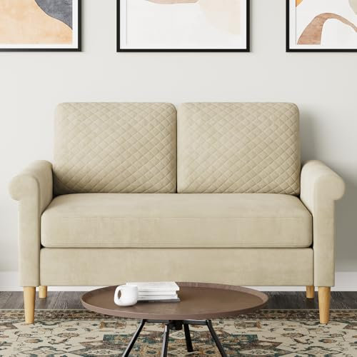Moziel Kleines Sofa 2 Sitzer, Modernes 2er Sofa mit 2 Wurfkissen, Kleine Stoffcouch mit Armlehne, Mini Sofa für Wohnzimmer/Wohnung/Büro 123 x 70 x 88CM