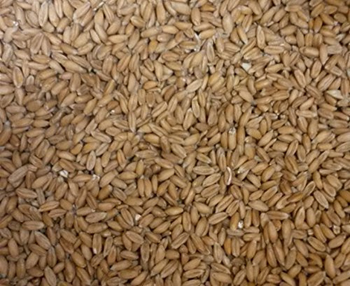 Kiloware Spelt grains, spelt, z. Refill v. Spelt pillow oder Heating pads - 15kg