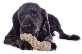 HKM Buddy Knot Ball Dog Toy Nature ⌀8 cm