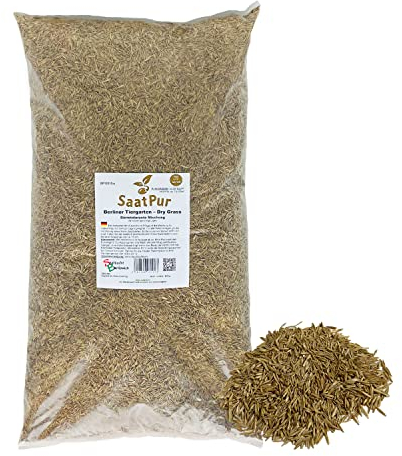 SaatPur® Rasensamen Berliner Tiergarten Dürreresistent 2,5kg für ca. 100 m², Mehrjährige Gebrauchsrasen Rasenmischung aus mehreren Rasenarten, meistens 4 bis 5, satt grün, Neusaat und Nachsaat