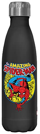 Marvel Urban_Hero 17 oz Stainless Steel Water Bottle, 17 Ounce, Multicolored