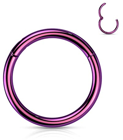 Stachelkleid Nasenpiercing Ring Clicker aus Titan – Septum Piercing Helix Conch Tragus Nostril – Nasenring Segmentring Scharnier – Viele Größen – Gold, Silber und weitere Farben