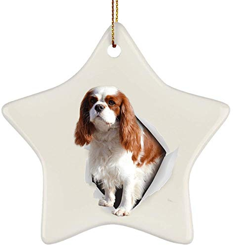 Christbaumschmuck Keramik Weihnachtsanhänger Mit Hanfseil Weihnachtsschmuck Lustiger Englischer Zwergspaniel, Weiß Und Rot, Der Aus Einer Rissigen Wand Kommt