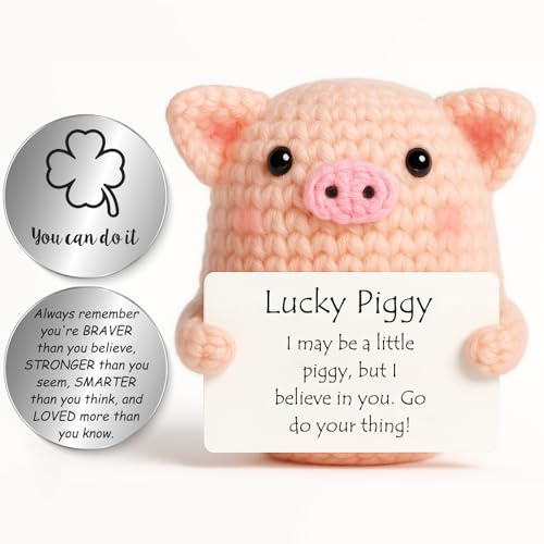 Tixlux Lucky Piggy Gifts, Handmade Positive Cute Knitted Pig Doll, with Pocket Hug Lucky Charm, Good Luck | Emotional Support | Get Well Soon | Birthday Gifts for Women Men Kids (Silver Ⅰ)