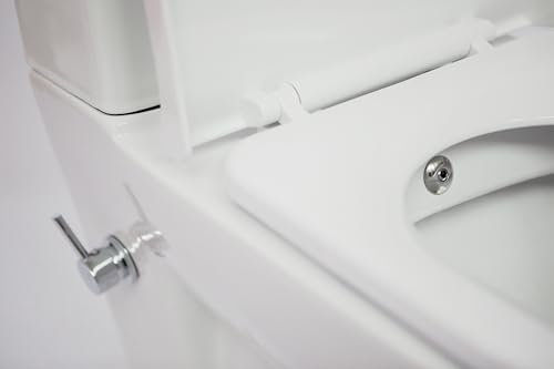 WC lavant à poser modèle SAFRAN Sortie Horizontale ou Verticale
