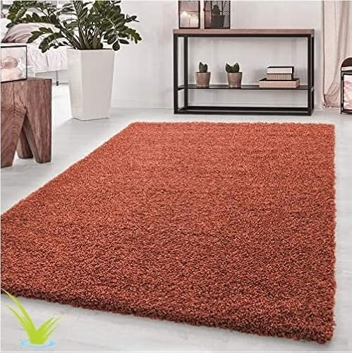 Wadan 200x290cm Terracotta Shaggy Rugs Living Room |5mm Thick Pile | Extra Large Small Medium | Rectangular Size | Soft Touch | Living Room Area Rugs | Non Shedding